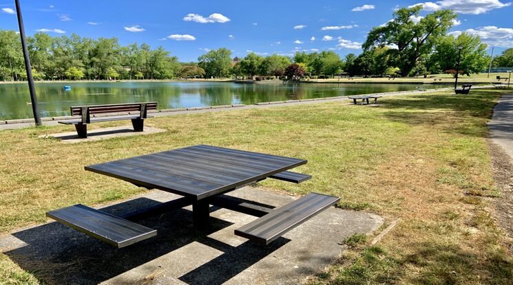 Read more about the article Perfect Picnic Spots in Sterling, Virginia From Couples to Groups