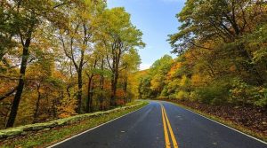 Read more about the article Exploring the Natural Beauty Great Scenic Drives in Virginia
