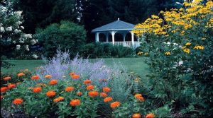 Read more about the article Green Spring Gardens An Oasis of Beauty and History in Virginia