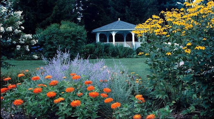 You are currently viewing Green Spring Gardens An Oasis of Beauty and History in Virginia