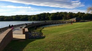 Read more about the article Lake Fairfax Park Where Outdoor Fun Meets Natural Beauty