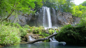 Read more about the article Best Waterfall Hikes in Virginia That Are Worth Your Time