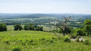 Read more about the article Visit Beautiful Sky Meadows State Park in Northern Virginia