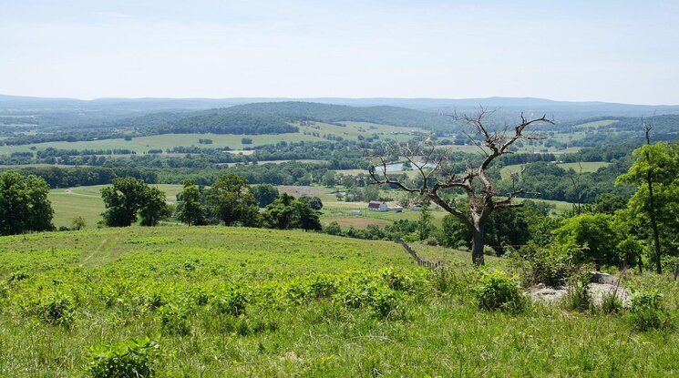 Read more about the article Visit Beautiful Sky Meadows State Park in Northern Virginia