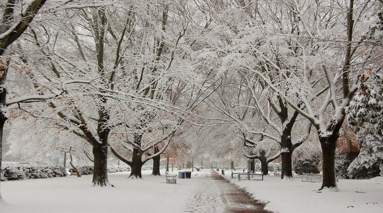 You are currently viewing Exploring the Delights of Winter in Virginia