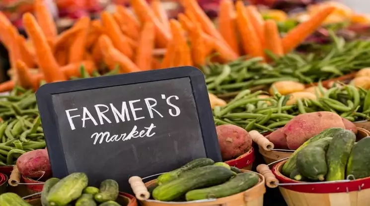 You are currently viewing Great Northern Virginia Farmers Markets