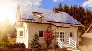 Read more about the article Benefits of Going Solar in the Summer in Virginia