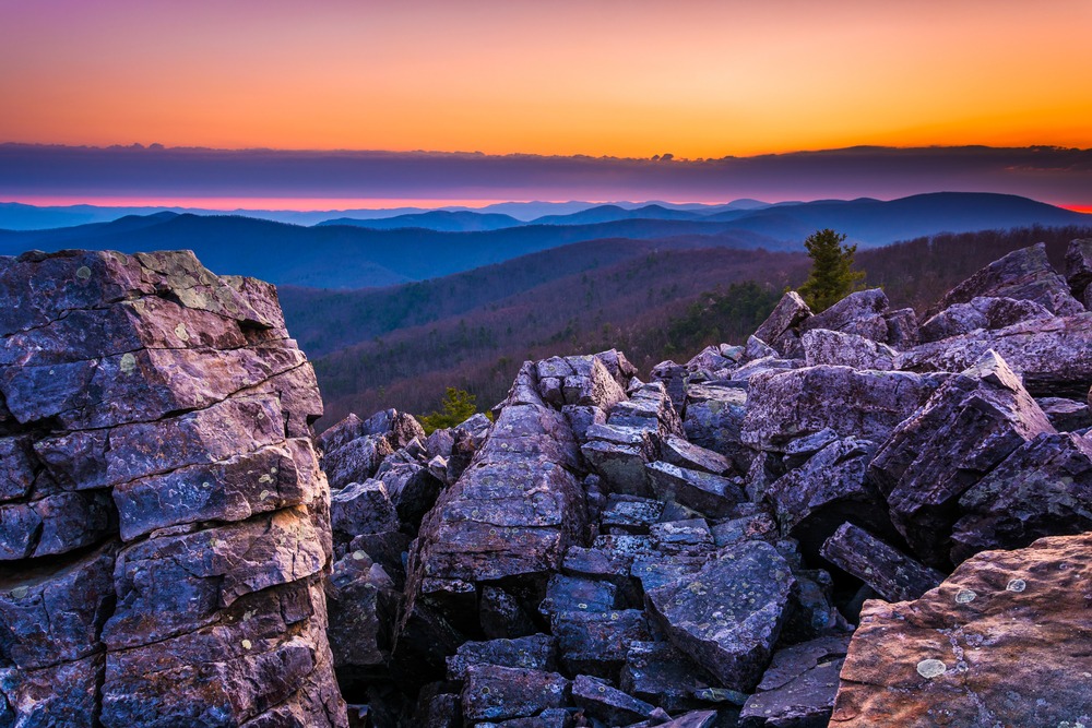 Read more about the article Exploring Shenandoah National Park Enchanting Wilderness