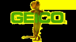 Read more about the article Step-by-Step Guide on Canceling Your GEICO Insurance